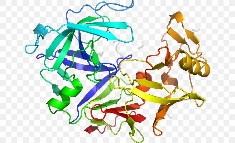 Pepsin PGA5 Protein Gene Wikipedia, PNG, 647x500px, Watercolor, Cartoon, Flower, Frame, Heart Download Free