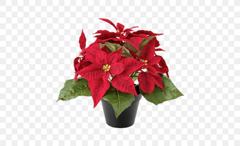 Poinsettia Flower Christmas Plants Rose, PNG, 500x500px, Poinsettia, Annual Plant, Artificial Flower, Christmas, Christmas Plants Download Free