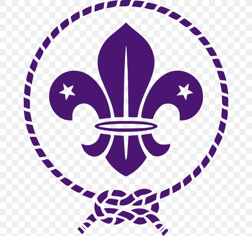 World Organization Of The Scout Movement Scouting For Boys World Scout Emblem Cub Scout, PNG, 666x768px, Scouting, Area, Artwork, Cub Scout, Girl Scouts Of The Usa Download Free