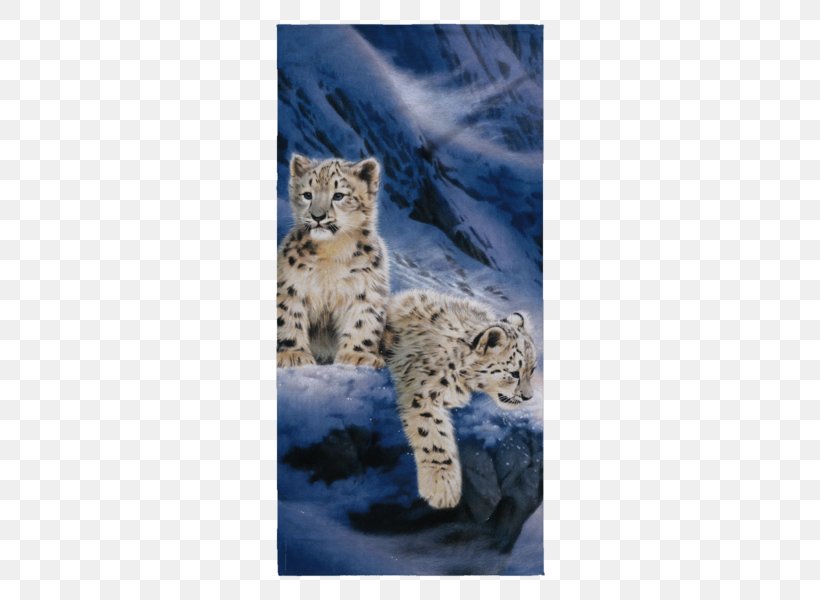 Cheetah Leopard Towel Cat Carnivora, PNG, 600x600px, Cheetah, Algarve, Animal, Beach, Big Cat Download Free
