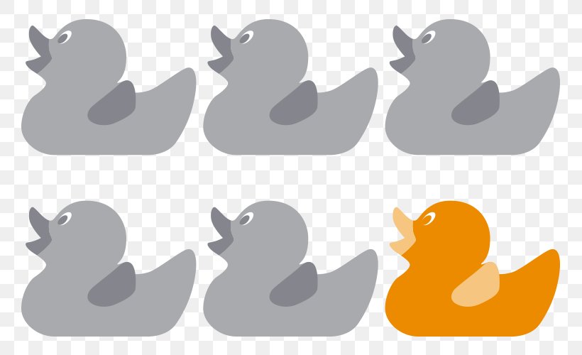 Duck Beak Desktop Wallpaper Water Bird Clip Art, PNG, 800x500px, Duck, Beak, Bird, Computer, Ducks Geese And Swans Download Free