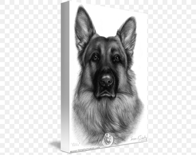 German Shepherd Puppy Drawing Graphite Portrait, PNG, 424x650px, German Shepherd, Art, Black And White, Carnivoran, Dog Download Free