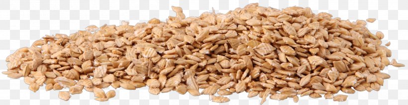 Horse Barley Cereal Oat Whole Grain, PNG, 2486x640px, Horse, Barley, Cereal, Cereal Germ, Commodity Download Free