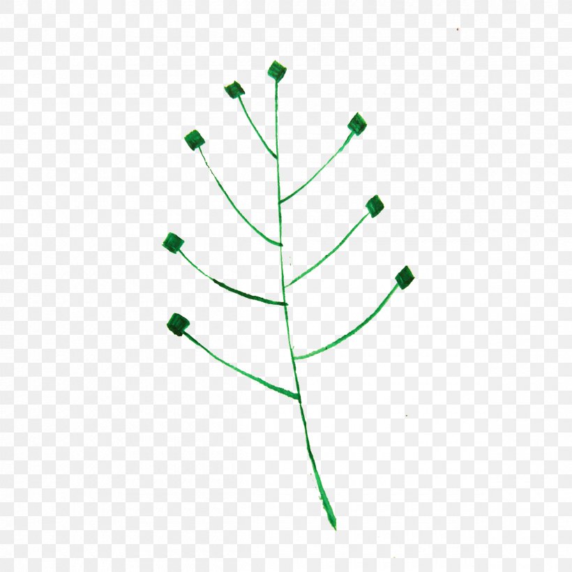 Leaf Circle Plant Stem Angle, PNG, 2400x2400px, Leaf, Grass, Green, Organism, Plant Download Free