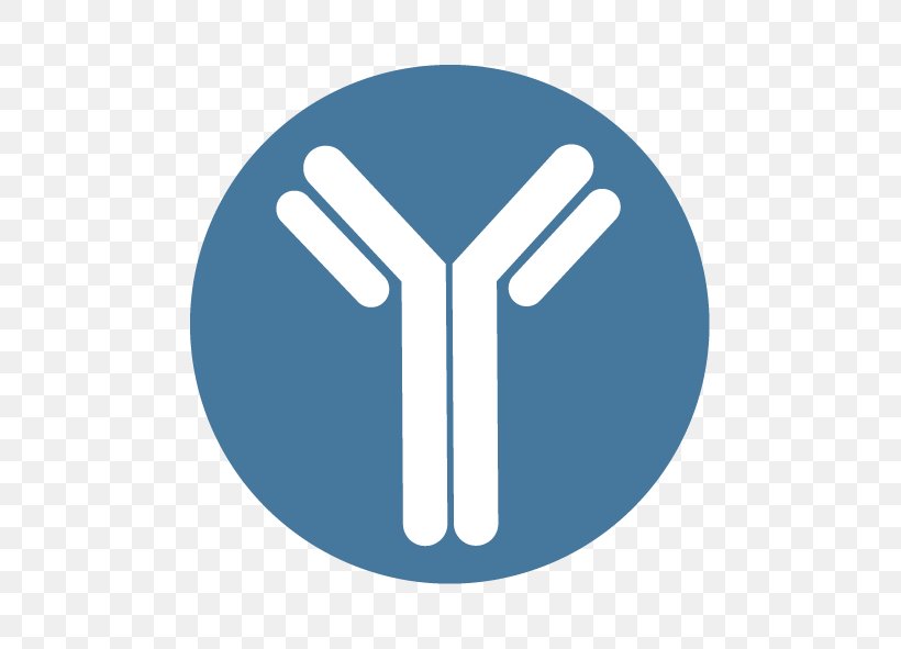 Monoclonal Antibody Production Polyclonal Antibodies Research Science, PNG, 591x591px, Antibody, Biologic, Biology, Biotechnology, Cell Download Free