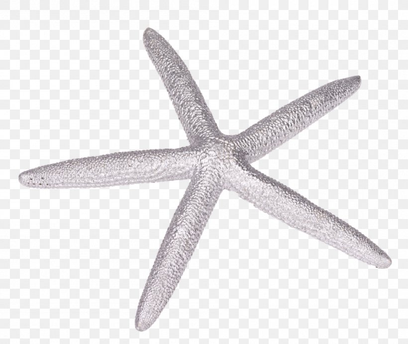 Starfish Echinoderm, PNG, 948x800px, Starfish, Echinoderm, Invertebrate, Marine Invertebrates, Organism Download Free