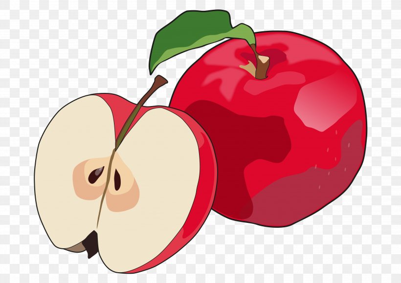 Apple Quince Cheese Food Drawing Fruit, PNG, 3508x2480px, Apple, Auglis, Bildungstechnologie, Bread, Diet Food Download Free