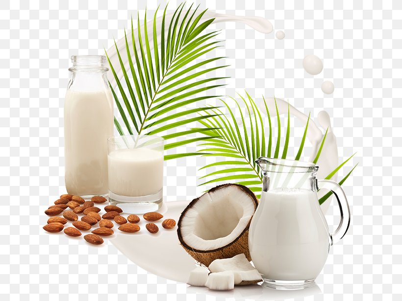 Coconut Milk Almond Milk Coconut Water Plant Milk, PNG, 646x615px, Coconut Milk, Almond Milk, Arecales, Coconut, Coconut Cream Download Free