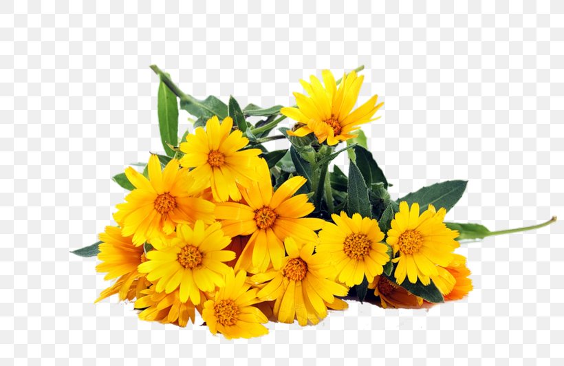 Flower Bouquet Yellow Common Daisy Stock Photography, PNG, 800x532px, Flower Bouquet, Annual Plant, Calendula, Chrysanthemum, Chrysanths Download Free