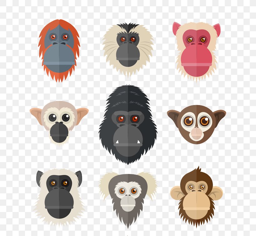 Primate Orangutan Chimpanzee Euclidean Vector Monkey, PNG, 800x757px, Primate, Animal, Cartoon, Chimpanzee, Drawing Download Free