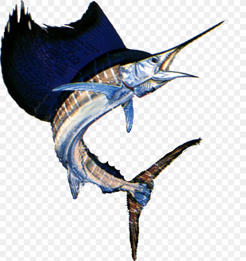 Swordfish Yellowfin Tuna Atlantic Bluefin Tuna, PNG, 1586x1689px, Swordfish, Atlantic Bluefin Tuna, Atlantic Sailfish, Billfish, Drawing Download Free