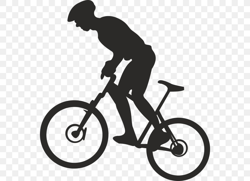 Bicycle Cycling Vector Graphics Mountain Bike Mountain Biking, PNG, 558x595px, Bicycle, Bicycle Accessory, Bicycle Drivetrain Part, Bicycle Frame, Bicycle Part Download Free