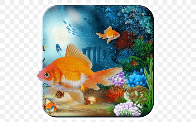 Desktop Wallpaper Sea Underwater Nature Wallpaper, PNG, 512x512px, 4k  Resolution, Sea, Aquarium, Bony Fish, Clownfish Download