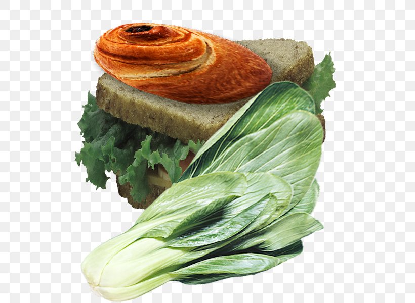 Bok Choy Vegetarian Cuisine Computer File, PNG, 600x600px, Bok Choy, Designer, Dish, Food, Leaf Vegetable Download Free