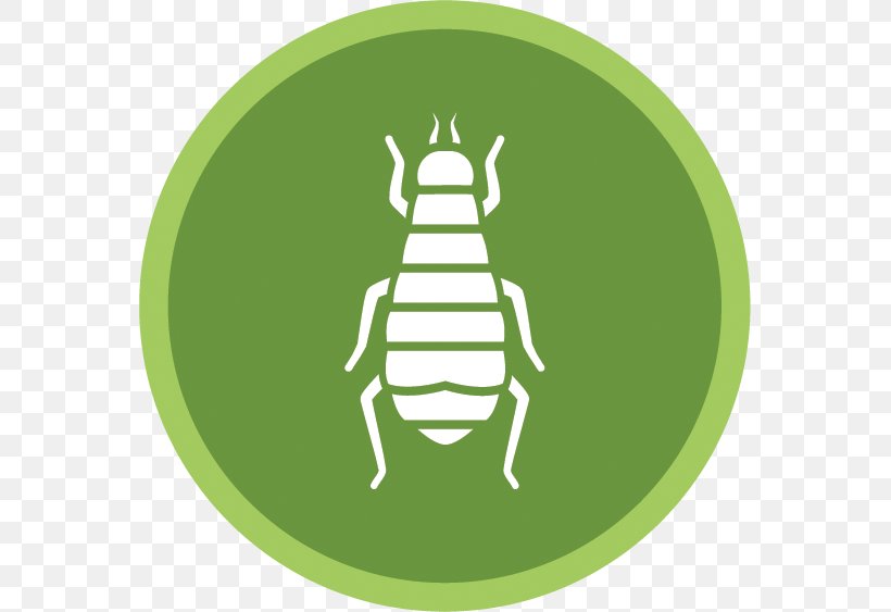 Cockroach Ant Mosquito Woodland-Davis Termite & Pest Control, Inc., PNG, 563x563px, Cockroach, Ant, Bed Bug, Bird Control, Brand Download Free