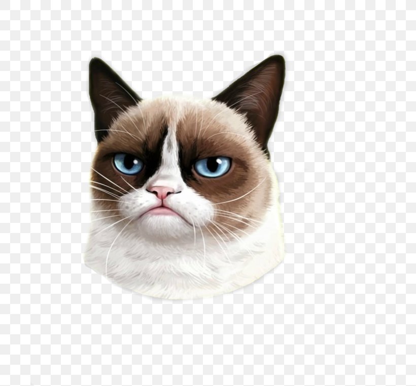 Grumpy Cat Titleist Golf Clubs, PNG, 700x762px, Cat, American Wirehair, Asian, Carnivoran, Cat Like Mammal Download Free