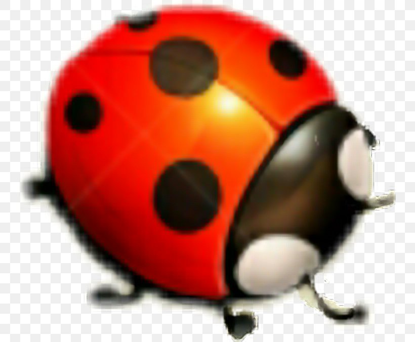 Ladybird Beetle Insect, PNG, 744x676px, Ladybird Beetle, Animaatio, Asian Lady Beetle, Beetle, Cartoon Download Free