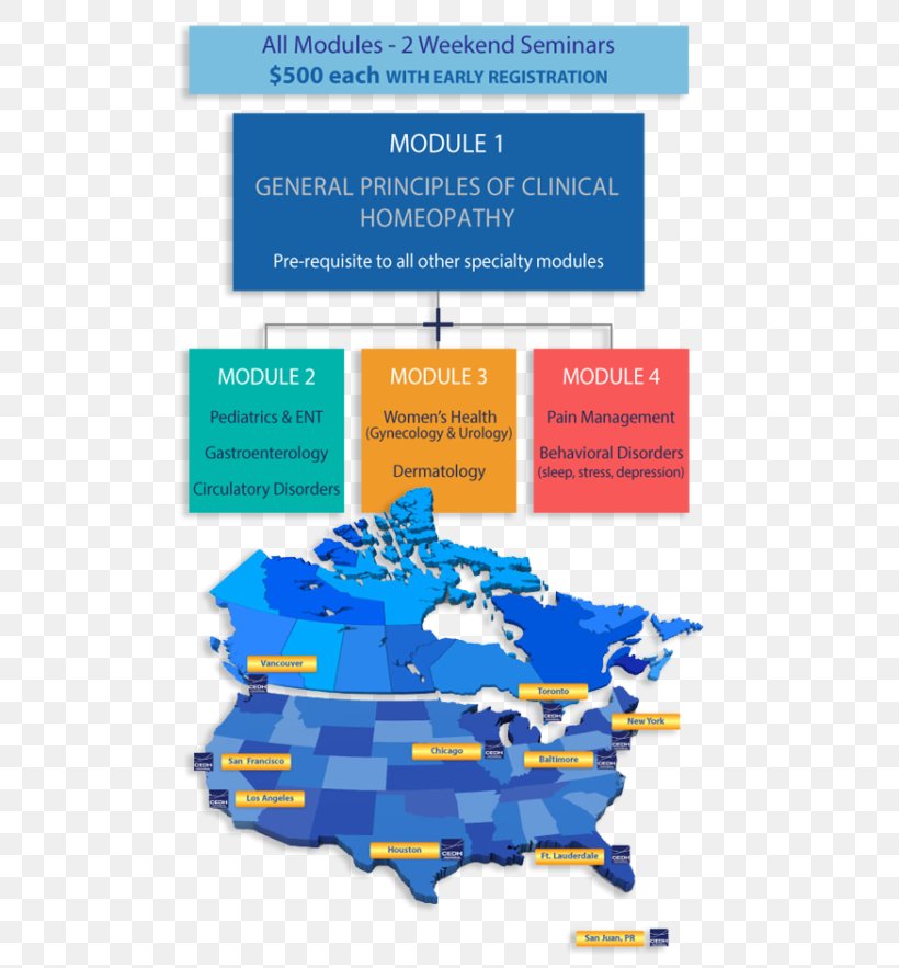 Новые организации 2019