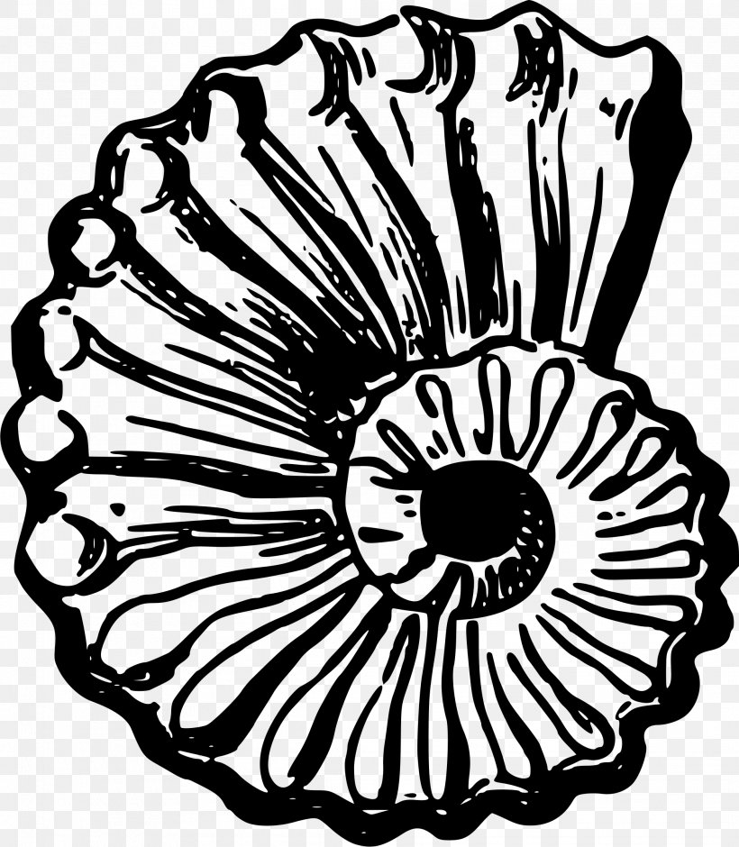 Seashell Clip Art, PNG, 2093x2400px, Seashell, Art, Artwork, Black And White, Drawing Download Free