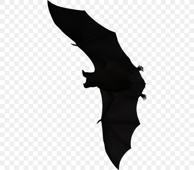 Bat Halloween Film Series, PNG, 419x720px, Bat, Black, Black And White, Black M, Com Download Free
