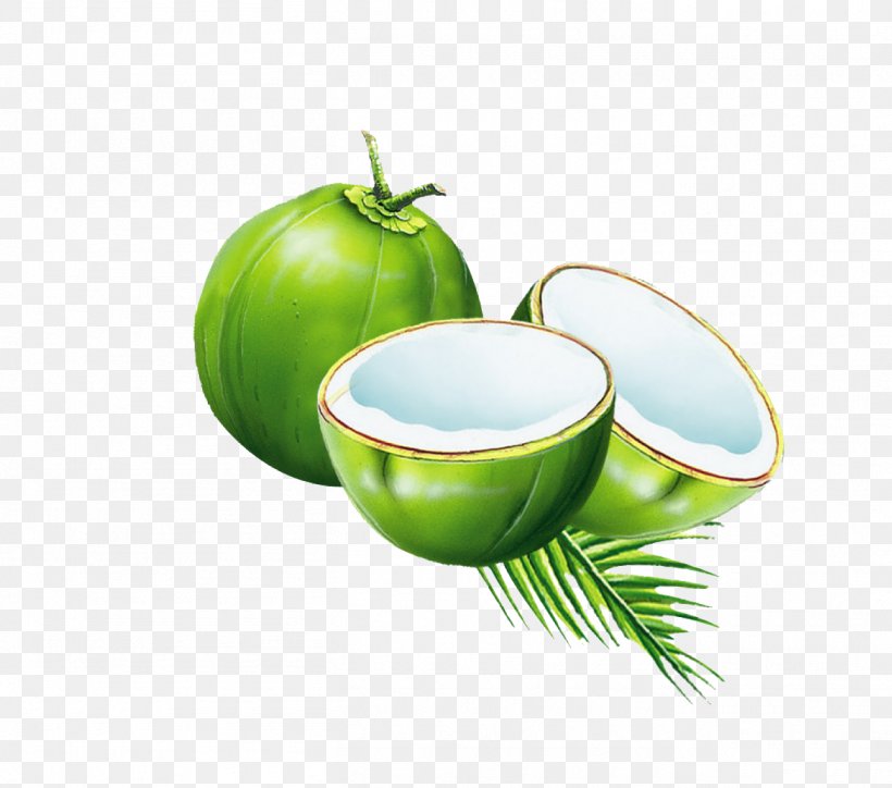 Coconut Water Juice Coconut Milk Powder, PNG, 1357x1199px, Coconut Water, Apple, Arecaceae, Ash, Ceramic Download Free