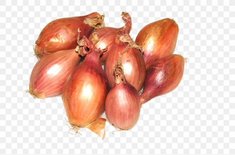 Shallot Yellow Onion Natural Foods Red Onion, PNG, 1278x846px, Shallot, Food, Fruit, Local Food, Natural Foods Download Free