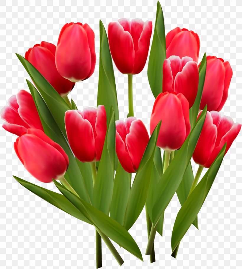 Tulip Flower Desktop Wallpaper Clip Art, PNG, 883x981px, Tulip, Black Tulip, Cut Flowers, Floral Design, Floristry Download Free