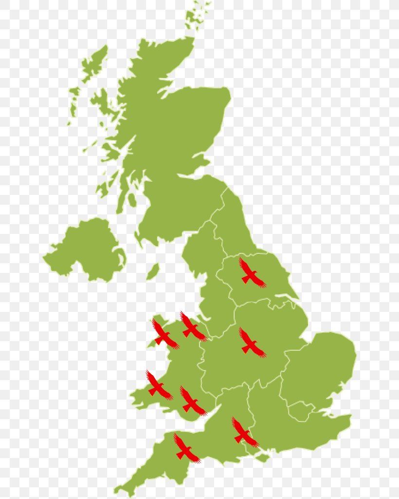 United Kingdom Blank Map World Map, PNG, 648x1024px, United Kingdom, Area, Blank Map, Grass, Green Download Free