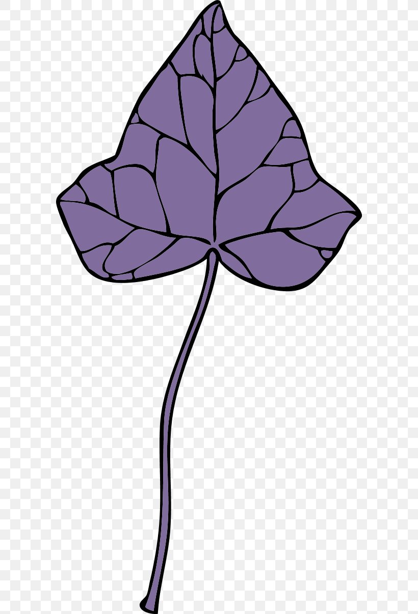 Download Common Ivy Clip Art, PNG, 600x1206px, Common Ivy, Branch, Drawing, Flora, Flower Download Free