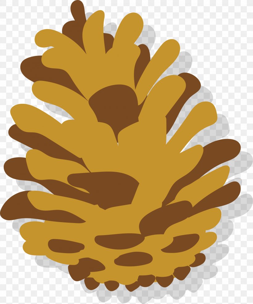 Euclidean Vector, PNG, 2529x3035px, Vecteur, Autumn, Conifer Cone, Designer, Flower Download Free