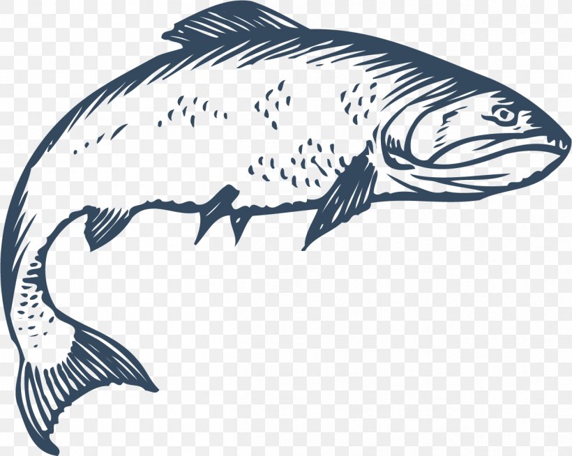 Freshwater Fish Euclidean Vector, PNG, 1254x1001px, Fish, Black And White, Dolphin, Equipollence, Fresh Water Download Free