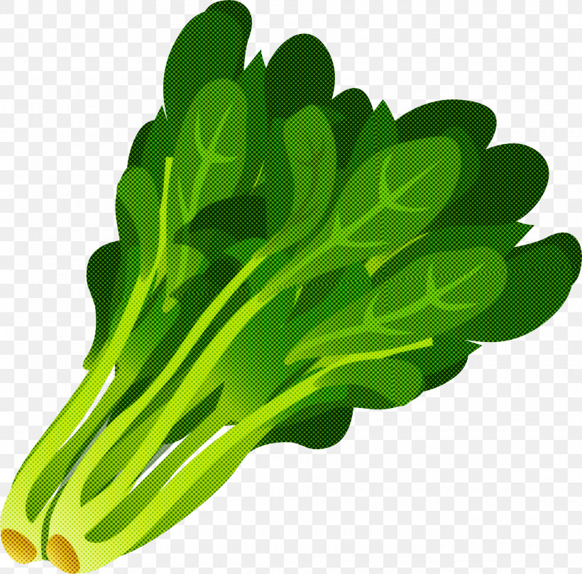 Green Vegetable Leaf Vegetable Leaf Plant, PNG, 1920x1895px, Green, Arugula, Flower, Food, Herb Download Free