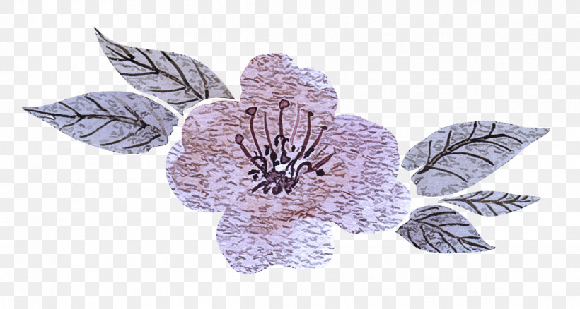 Lavender, PNG, 1213x649px, Flower, Biology, Lavender, Lilac M, Petal Download Free
