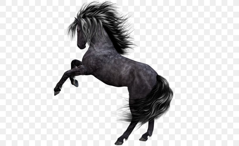 Wild Horse, PNG, 500x500px, Horse, Animal, Autocad Dxf, Black And White, Bridle Download Free