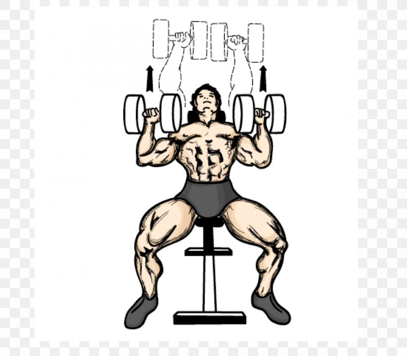 Bench Press Dumbbell Fly Weight Training, PNG, 1200x1050px, Bench Press, Abdomen, Area, Arm, Barbell Download Free