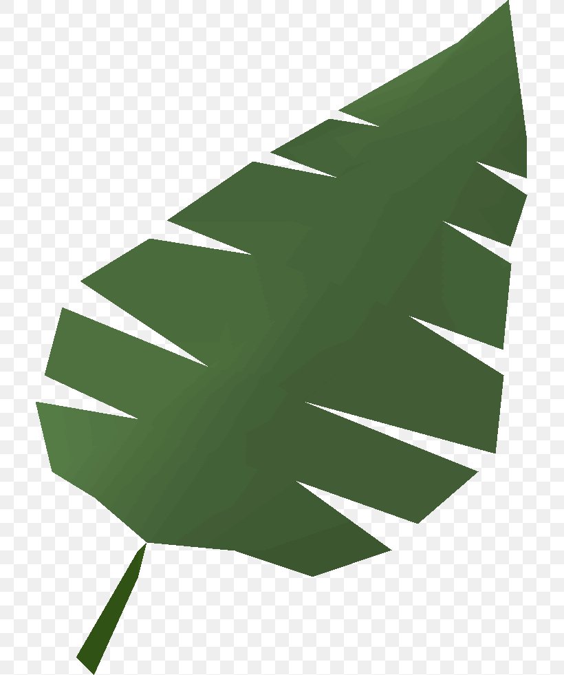 Clip Art Illustration Vector Graphics, PNG, 715x981px, Wiki, Creativity, Green, Green Banana Leaf, Leaf Download Free