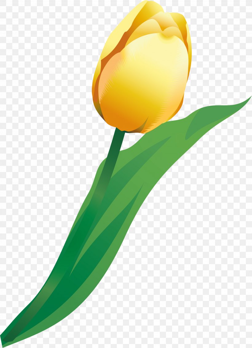 Cut Flowers Tulip Plant Stem, PNG, 3143x4345px, Flower, Cut Flowers, Flowering Plant, Liliaceae, Lily Family Download Free