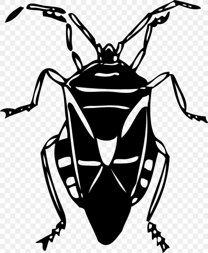 Beetle Clip Art, PNG, 1053x1280px, Beetle, Amphibian, Artwork, Black And White, Drawing Download Free