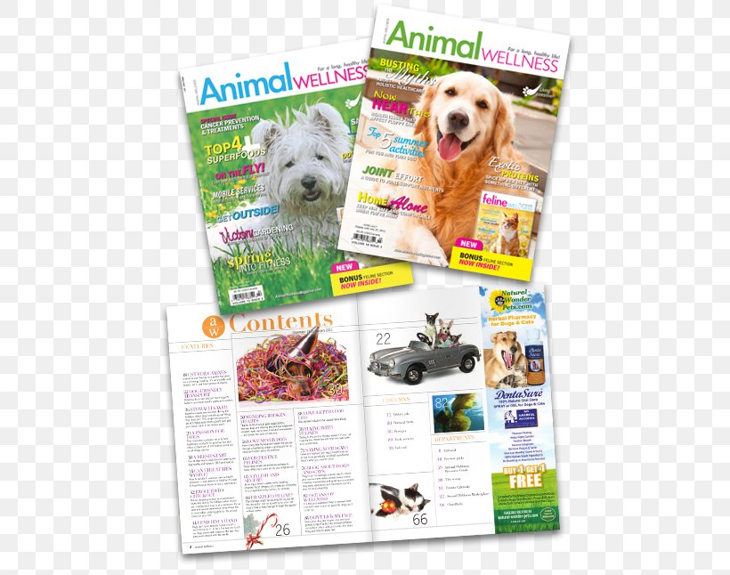 Dog Breed Advertising Product Sample Canada, PNG, 501x646px, Dog Breed, Advertising, Brand, Breed, Canada Download Free