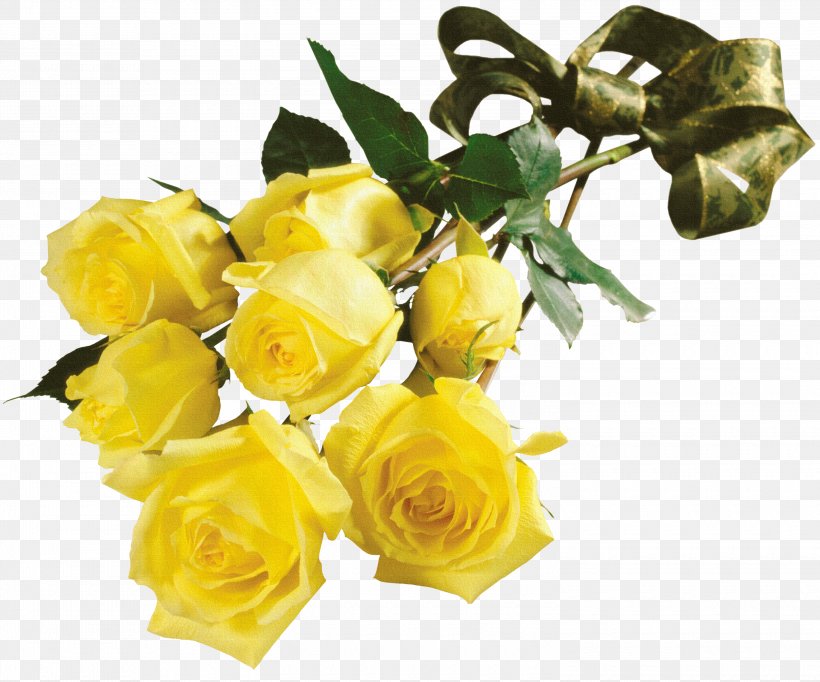 Garden Roses Flower Bouquet Yellow Houseplant, PNG, 3000x2496px, Garden Roses, Austrian Briar, Color, Cut Flowers, Floral Design Download Free