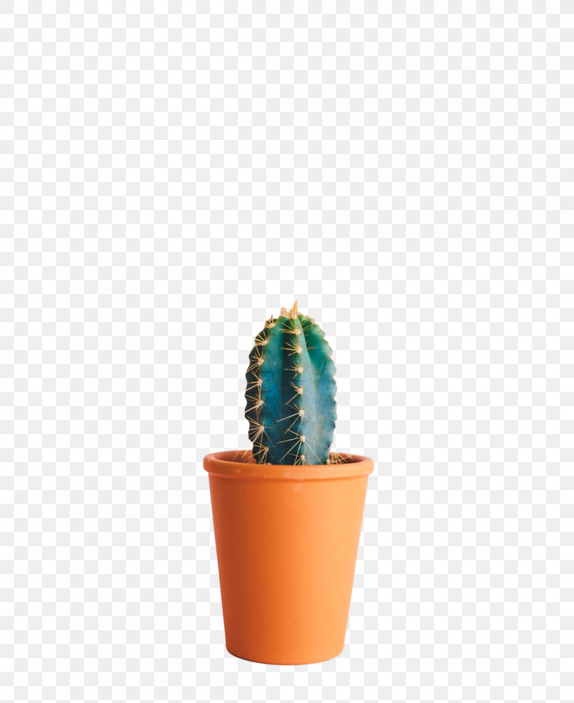 Cactus, PNG, 1200x1470px, Cactus, Aloes, Flower, Flowerpot, Garden Download Free