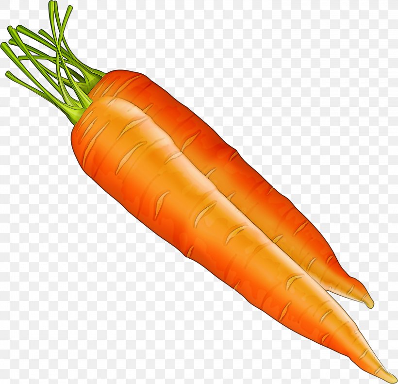 Carrot Vegetable Root Vegetable Food Wild Carrot, PNG, 3000x2894px, Carrot, Baby Carrot, Food, Local Food, Natural Foods Download Free