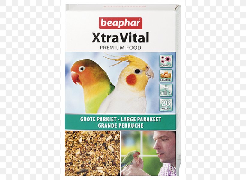 Cockatiel Bird Food Parakeet Atlantic Canary, PNG, 600x600px, Cockatiel, Advertising, Alexandrine Parakeet, Atlantic Canary, Beak Download Free