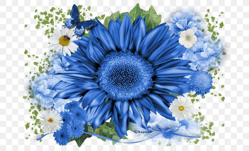 Flower Blue, PNG, 700x500px, Flower, Anemone, Aster, Blog, Blue Download Free
