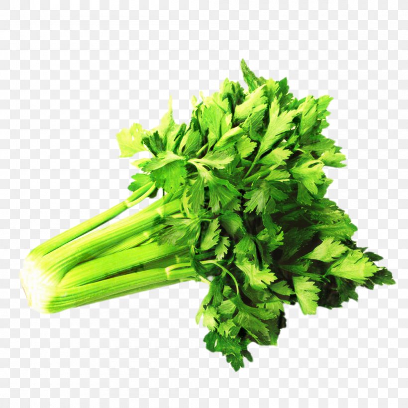 Flower Leaf, PNG, 1000x1000px, Celery, Chervil, Chinese Celery, Coriander, Culantro Download Free