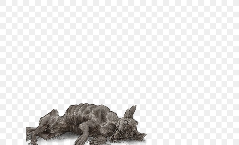 Lion Hyena Felidae Carnivora Mane, PNG, 640x500px, Lion, Animal, Canidae, Carnivora, Carnivoran Download Free