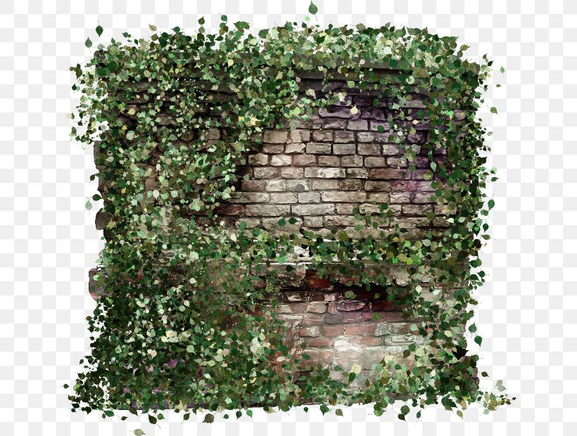 Wall Photography Clip Art, PNG, 650x620px, Wall, Archive File, Column, Flower, Groundcover Download Free