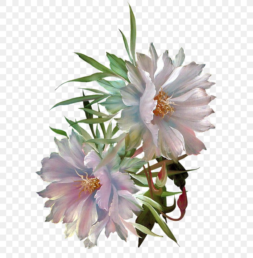 Blessing God Morning Greeting Prayer, PNG, 742x836px, Blessing, Aster, Cactus, Caryophyllales, Epiphyllum Download Free
