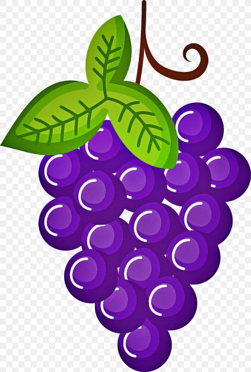 Drawing Of Family, PNG, 1079x1600px, Grape, Apple Bloom, Cartoon, Drawing, Fruit Download Free
