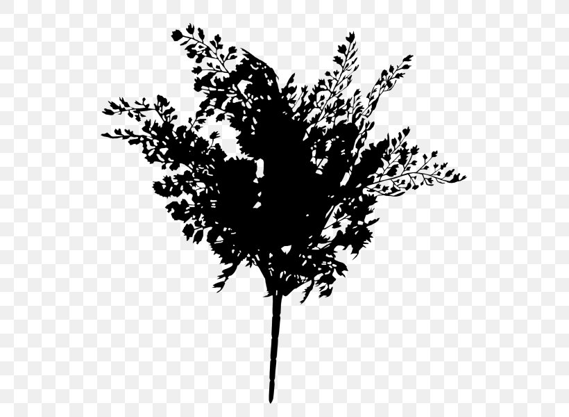 Flower Plant Stem Leaf Desktop Wallpaper Font, PNG, 800x600px, Flower, Black M, Blackandwhite, Computer, Flowering Plant Download Free